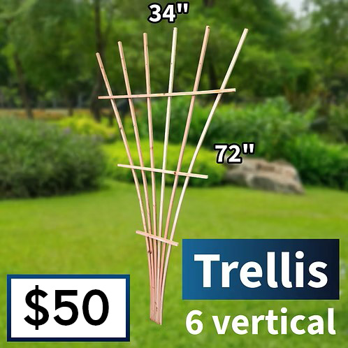 6 Vertical Trellis Planter